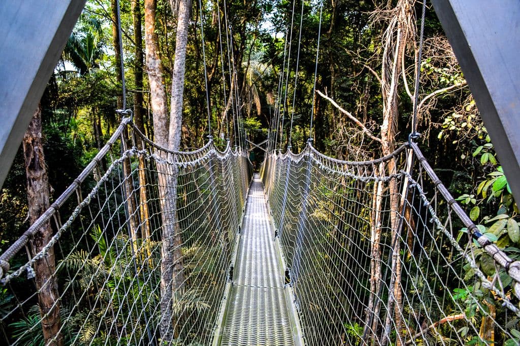 Lekki Conservation Centre